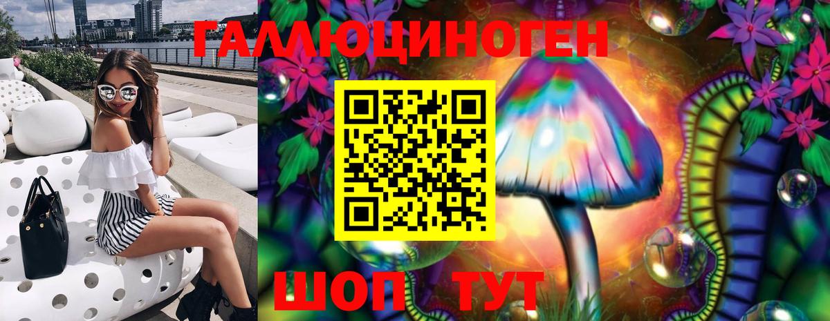 Бахчисарай  Псилоцибиновые грибы Cubensis  Вход с VPN 